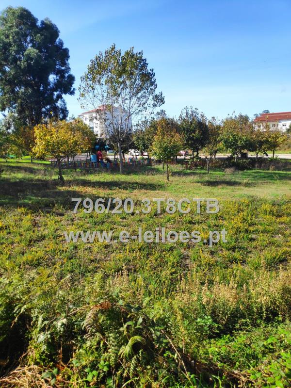 Terreno para Construção em Cernache do Bonjardim - Sertã