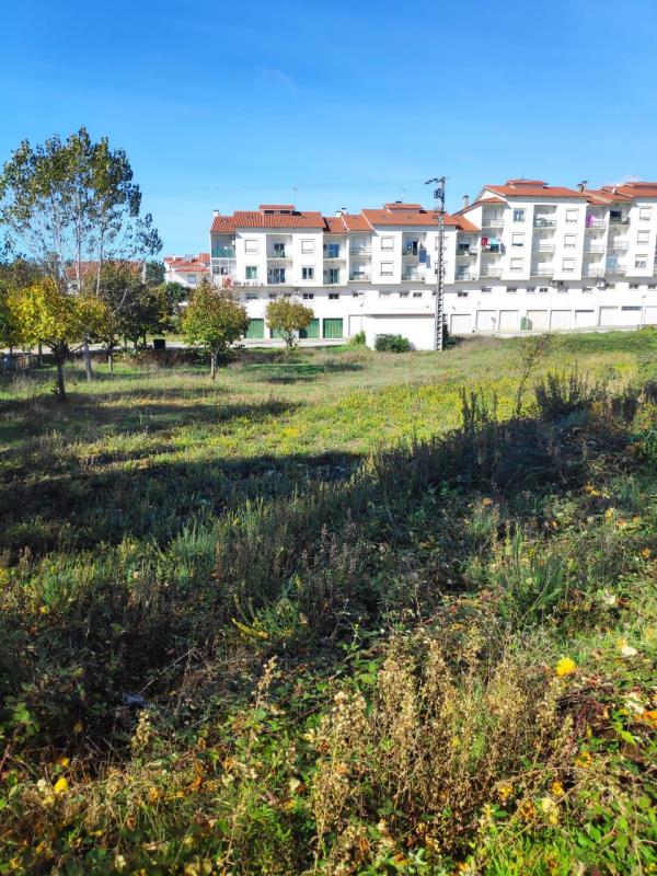 Fotografia de imóvel: Terreno para Construção em Cernache do Bonjardim - Sertã