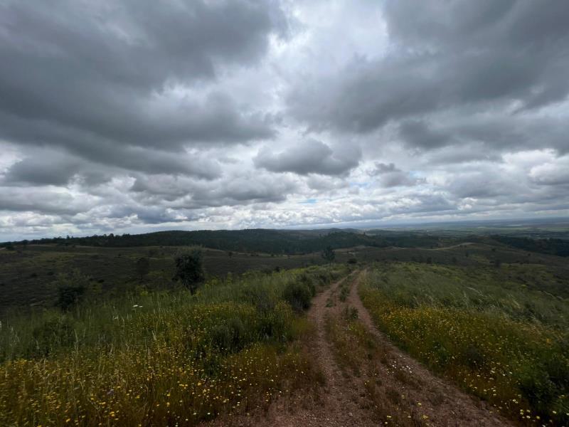 Fotografia de imóvel: Terreno rústico na Vidigueira - 1,25 hectares aproximadamente