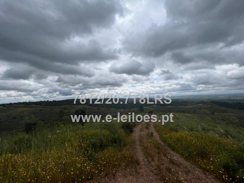 Terreno rústico na Vidigueira - 1,25 hectares aproximadamente