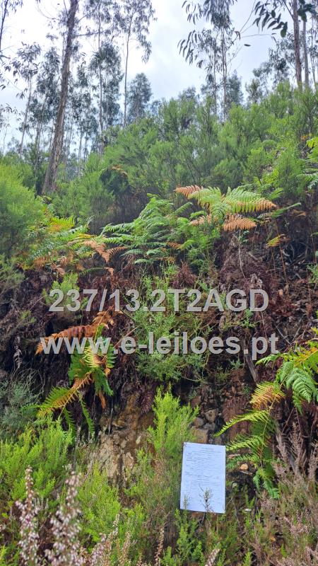 Prédio rustico, com 1.620,00 m2, sito em Cambra - Formigosa