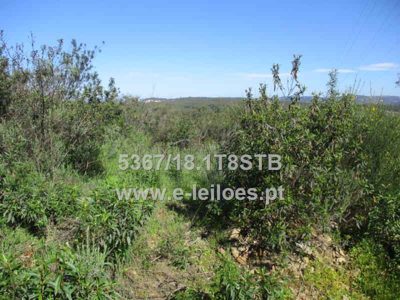 TERRENO RUSTICO COM 2440 M2