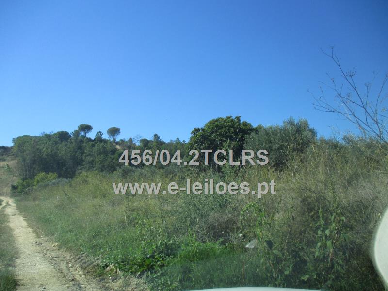 1/2 DE TERRENO RÚSTICO  COM 2120  M2 - TOMAR