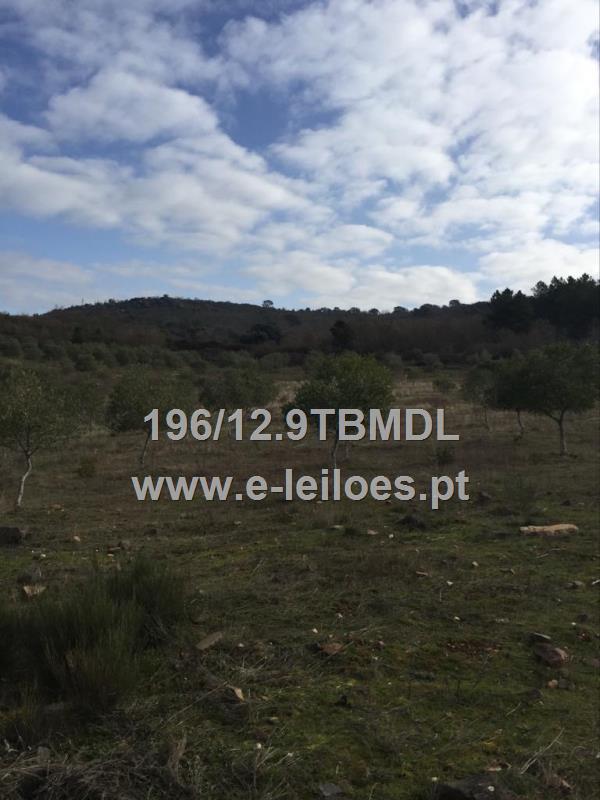 Terreno em Lameirão (Macedo de Cavaleiros)
