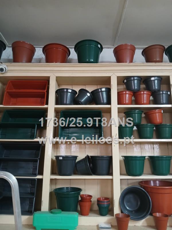 Vasos