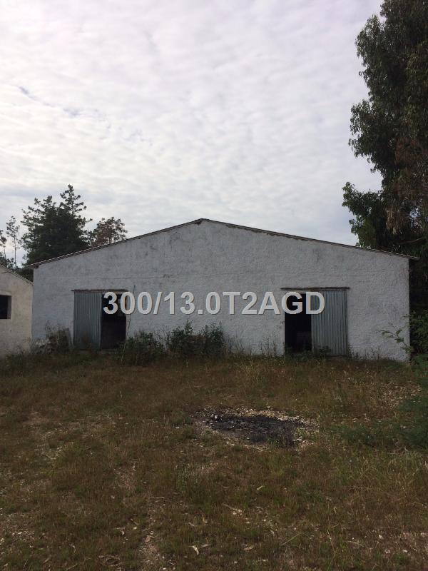 Pavilhão para criação de Leitões