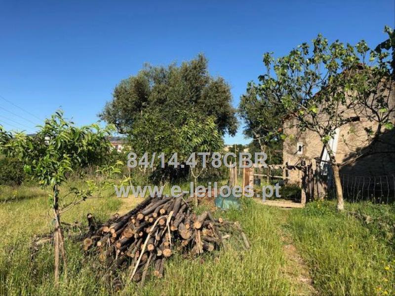 Dois prédios rústicos (Lote), sito Vila Nova de Poiares ( junto à zona urbana)