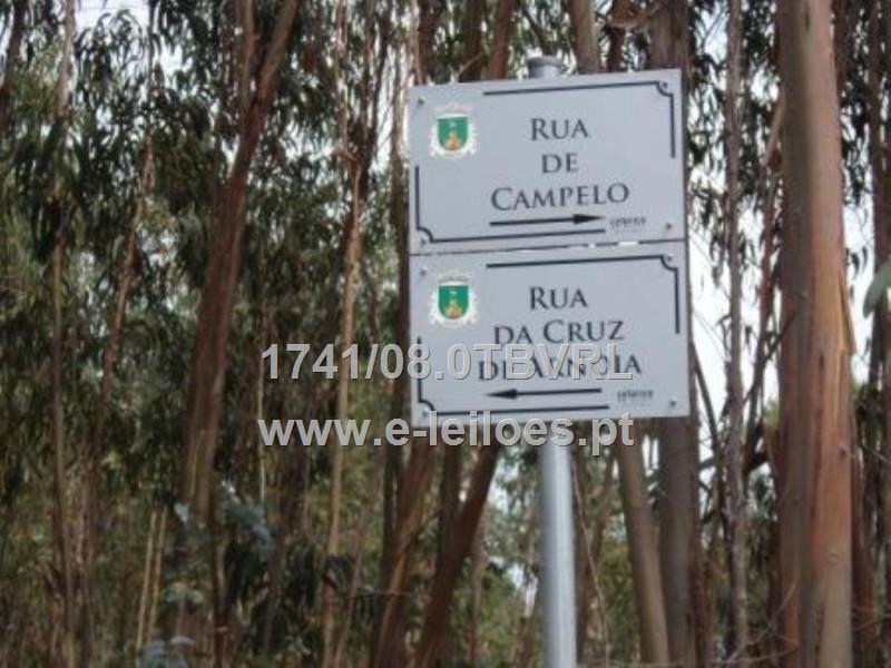 Direito e acção em herança