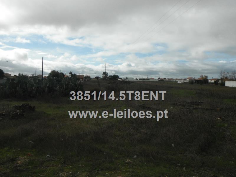Predio Rustico em Lentisqueira, Foros de Salvaterra