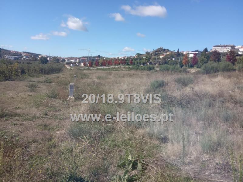 Lote de terreno para construção ( lote nº16) com 800m2, em Aguiar da Beira