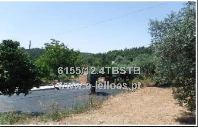 1/3 do prédio rústico sito em Ribeira da Ponte, freguesia de Olalhas, Tomar