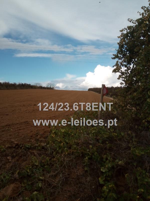 101/440 AVOS Prédio rústico de 39800 m2, situado em Benfica do Ribatejo,Almeirim