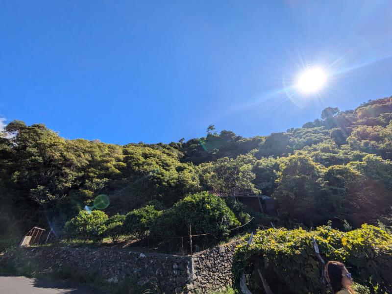 Fotografia de imóvel: 1/10 de prédio rústico em Boa Ventura - S. Vicente (Madeira)