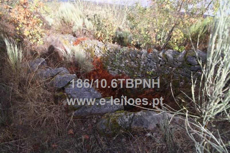 5/6 de Prédio Rústico situado em Quintãs, Freguesia de Pinzio,Concelho de Pinhel