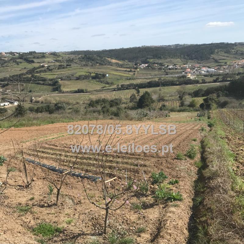 Terreno Agrícola
