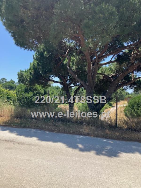 Lote de terreno -Classe Agric.Florestal-Aiana de Cima (Rua da Raposa ) -Sesimbra