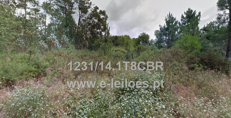 1/2 de artigo rústico com 2690m2 em Febres, Cantanhede