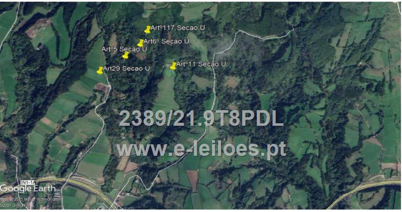 Prédio rústico sito em Piquinhos, freguesia de Água de Pau,