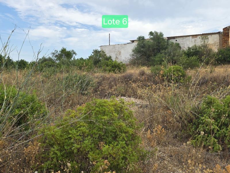 Fotografia de imóvel: Terreno para construção sito em Silves - Lote n.º 6
