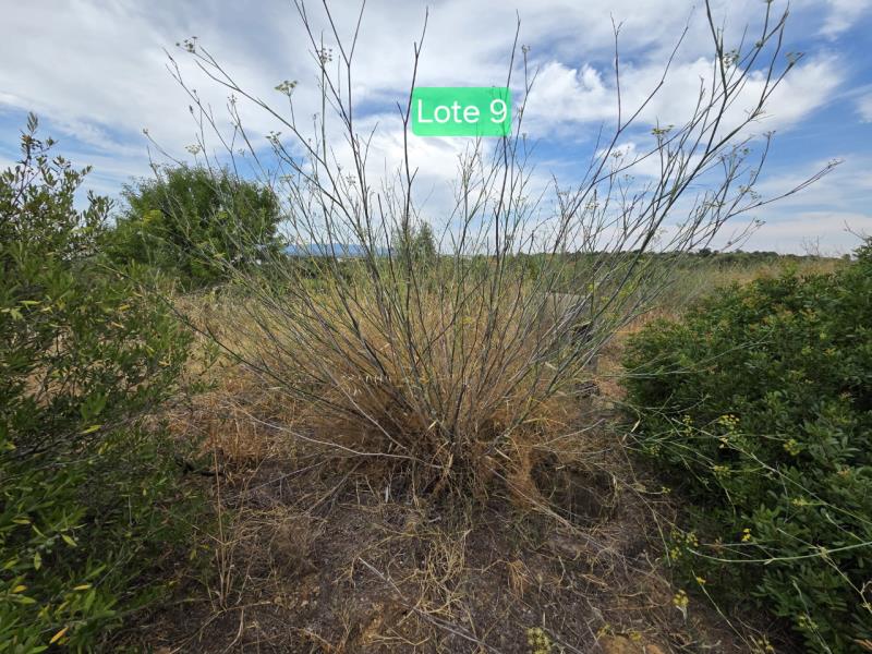 Fotografia de imóvel: Terreno para construção sito em Silves - Lote n.º 9