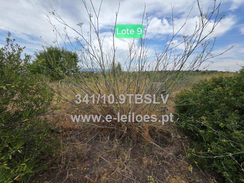 Terreno para construção sito em Silves - Lote n.º 9