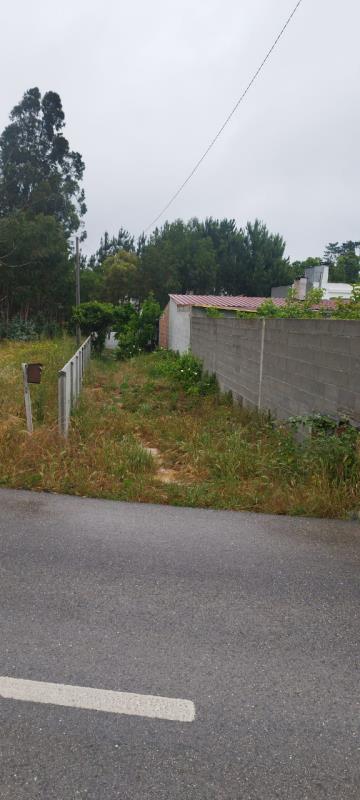 Fotografia de imóvel: CASA EM RUÍNAS - MONTIJOS - LEIRIA