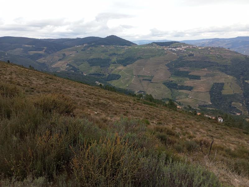 Fotografia de imóvel: Artigo rústico com 175.000,00 m2 em Gouvães do Douro