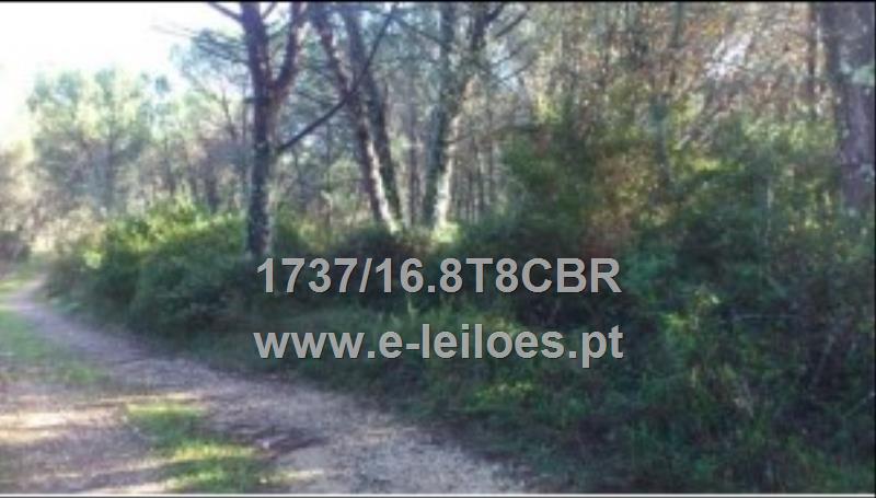 Prédio rústico sito em Perdigueiros