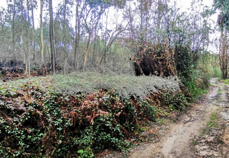 Fotografia de imóvel: DIREITO AO USUFRUTO SOBRE 3 PRÉDIOS RUSTICOS
