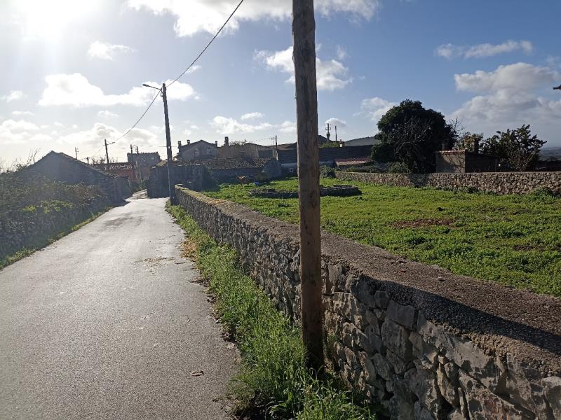 Fotografia de imóvel: Prédio rústico (proporção de 1/2) situado em  Serra de Santo António - Alcanena