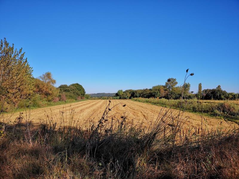 Fotografia de imóvel: Terra de cultura de arroz