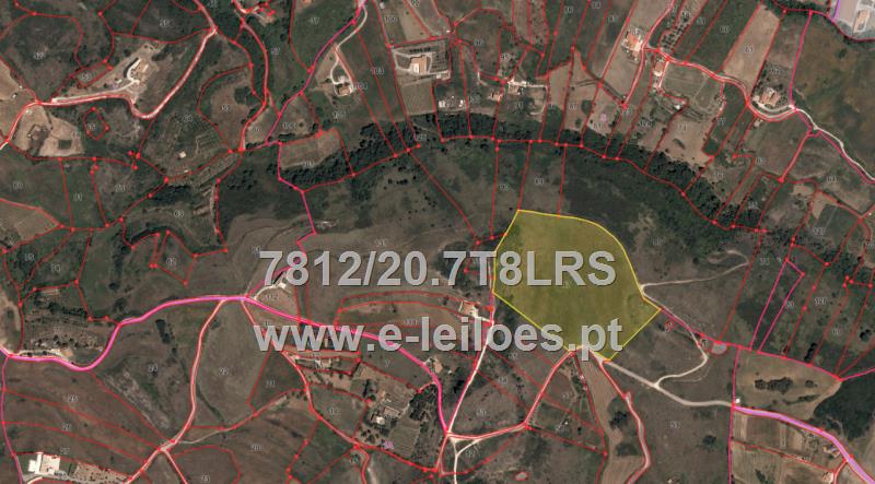 VILA FRANCA DE XIRA - 40000M2 Prédio rústico Casal do Chão da Vinha, Calhandriz