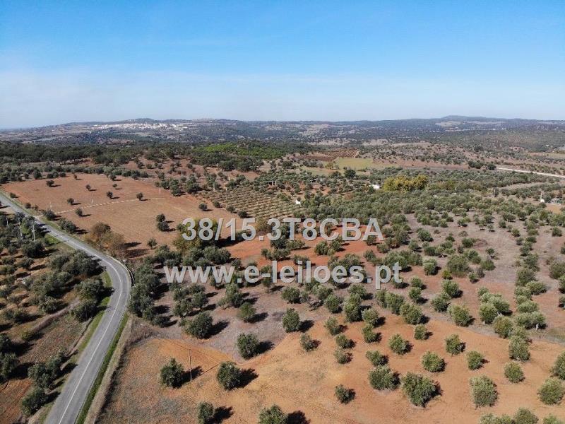 Terreno com 16750 m2, em Vila Ruiva