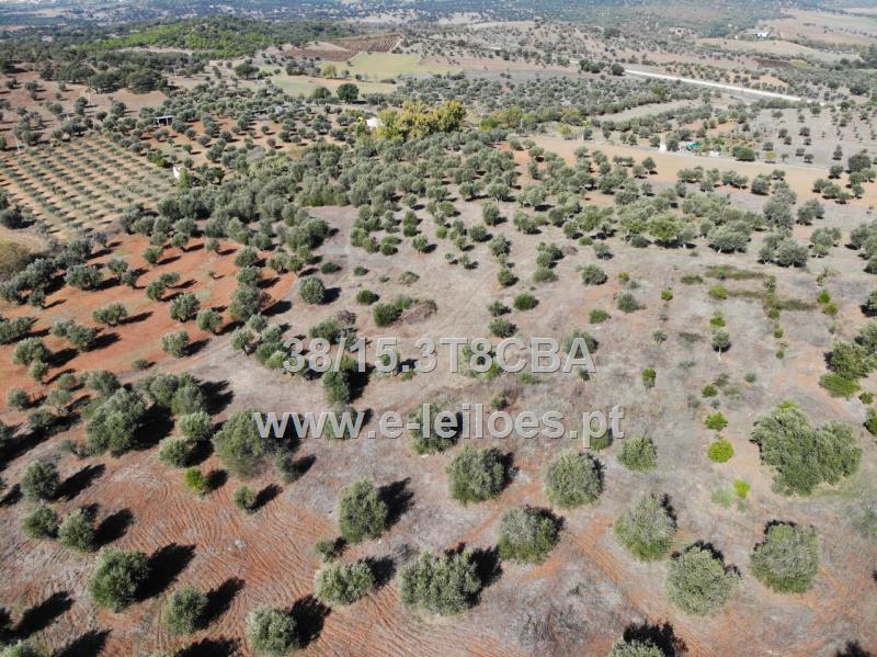 Terreno com 13250m2, em Vila Ruiva