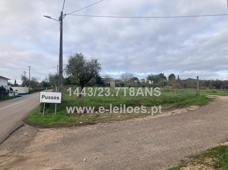 Lote composto por casa de habitação e terreno de cultura