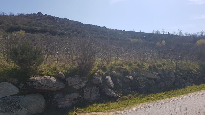 Fotografia de imóvel: Prédio rústico em Penude - Lamego