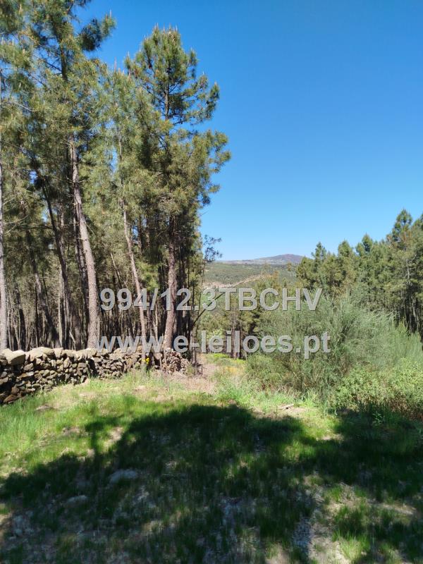 Prédio rústico de 3040 m2, situado em Vilela do Tâmega, Chaves