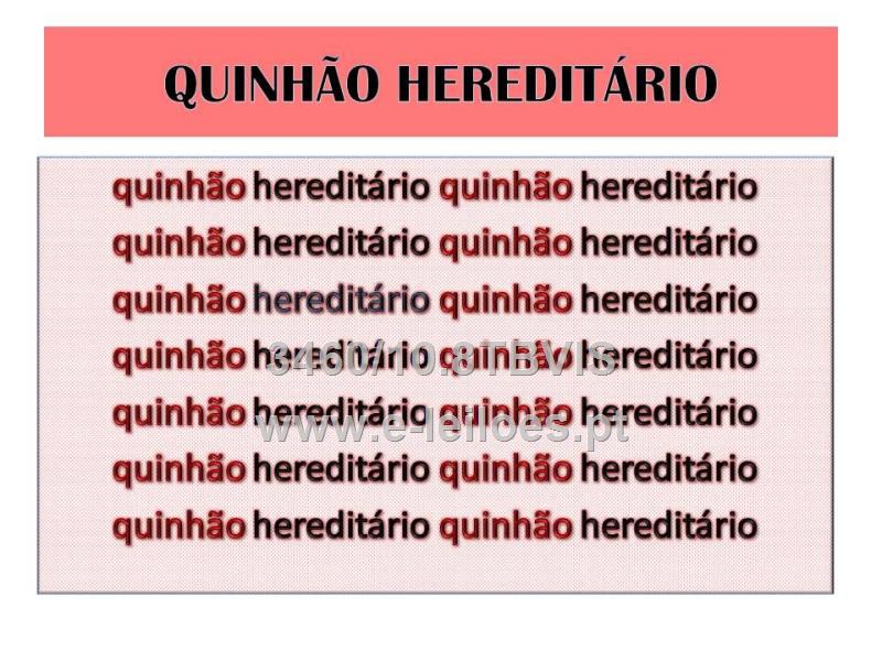 Direito e acção em herança