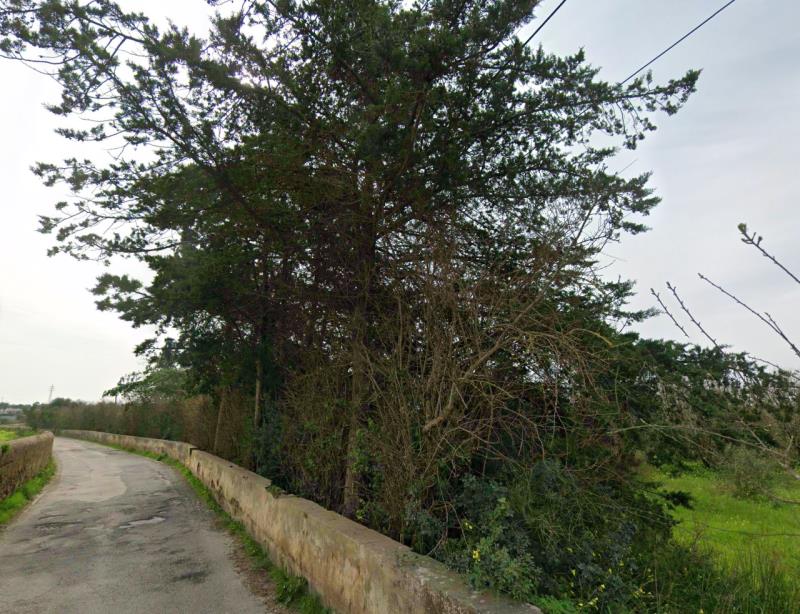 Fotografia de imóvel: Terreno com 9660 m2 situado em Carvoeiro, Lagoa