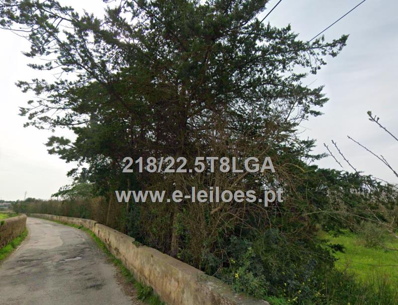 Terreno com 9660 m2 situado em Carvoeiro, Lagoa