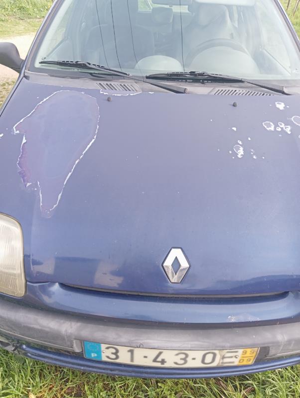 Fotografia de veículo: RENAULT CLIO