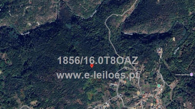 Prédio rústico em Lordosa - Viseu