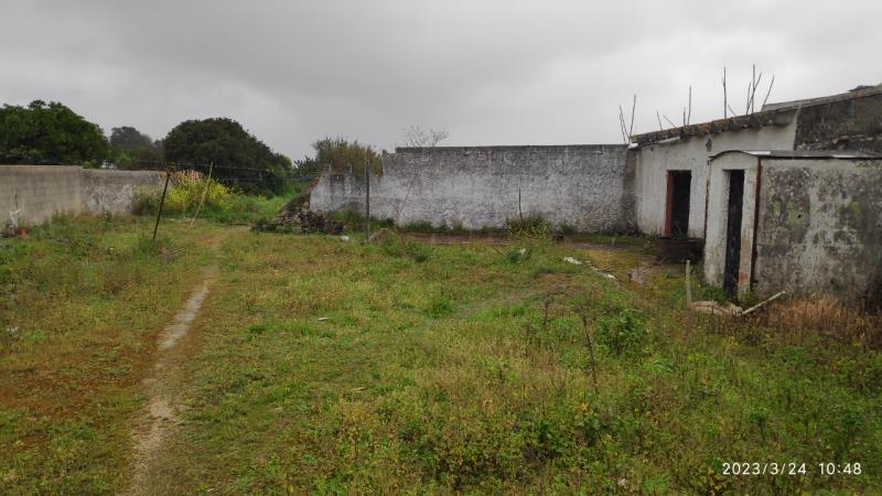 Fotografia de imóvel: PRÉDIO EM SANTARÉM