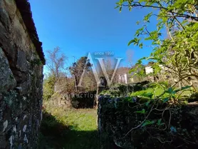 Fotografia 3 de 8: Alberto Augusto Soares Coelho Peneda Braga - Verba 1