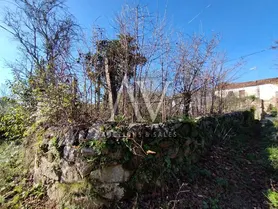 Fotografia 8 de 8: Alberto Augusto Soares Coelho Peneda Braga - Verba 1