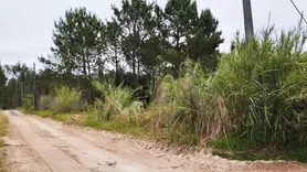 Fotografia 3 de 8: Lote de Terreno para Construção · Gaeiras, Óbidos 