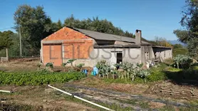 Fotografia 3 de 8: Armazém · Santa Comba Dão, Viseu
