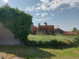 Fotografia 5 de 12: Moradia · São João de Loure e Frossos, Albergaria-a-Velha
