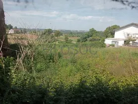 Fotografia 6 de 12: Moradia · São João de Loure e Frossos, Albergaria-a-Velha