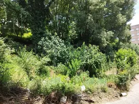 Fotografia 9 de 24: 10 Lotes de Terreno · Amarante